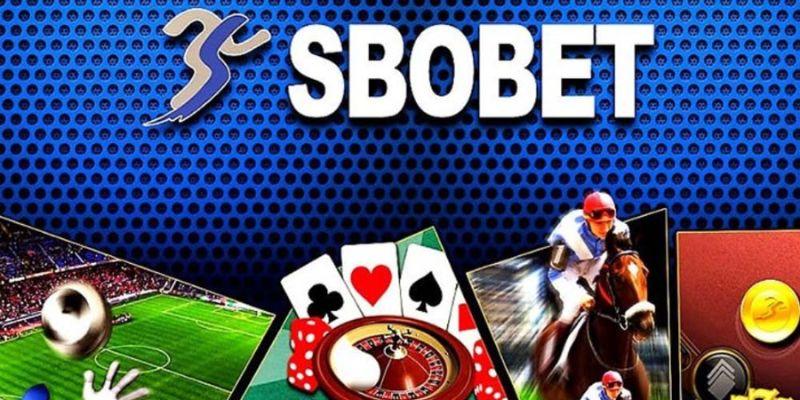 Có những bộ môn thể thao nào tại sảnh cược Sbobet của kubet77?